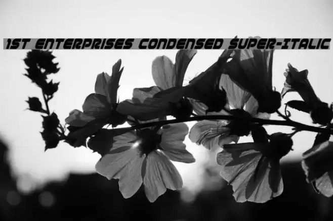 1st Enterprises Condensed Super-Italic Font examples