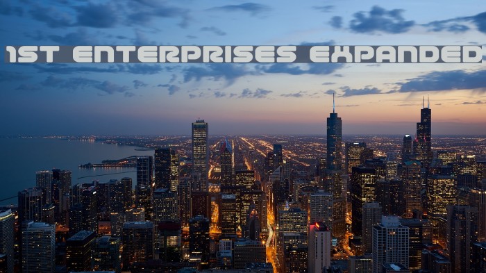 1st Enterprises Expanded Polices examples