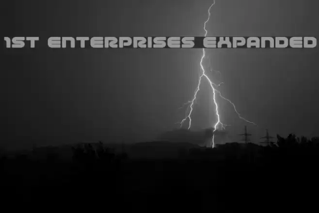 1st Enterprises Expanded Polices examples