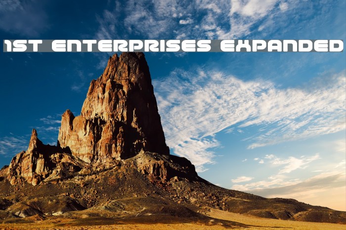 1st Enterprises Expanded Polices examples
