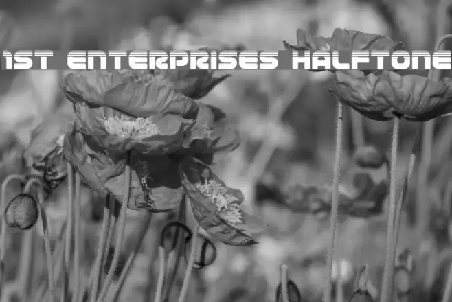 1st Enterprises Halftone Fuentes examples