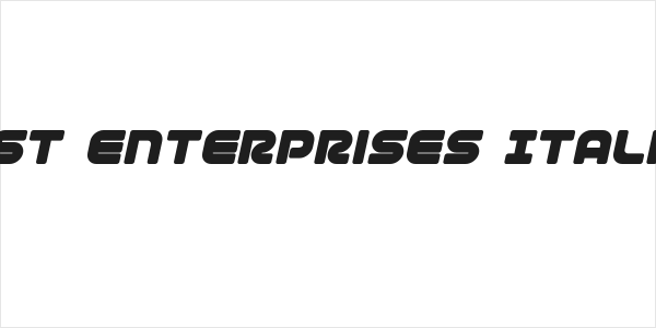 1st Enterprises Italic Logo