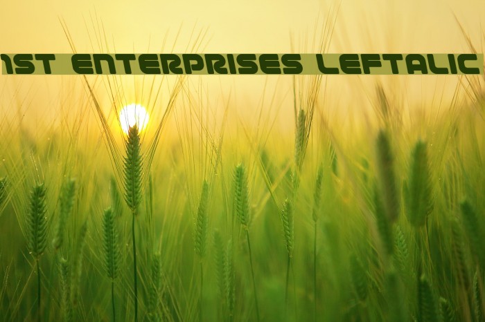 1st Enterprises Leftalic Font examples