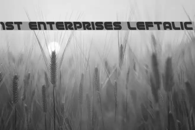 1st Enterprises Leftalic Font examples
