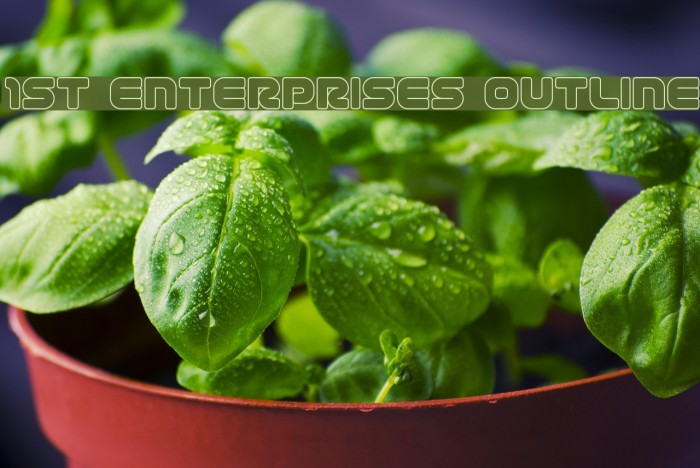 1st Enterprises Outline Polices examples