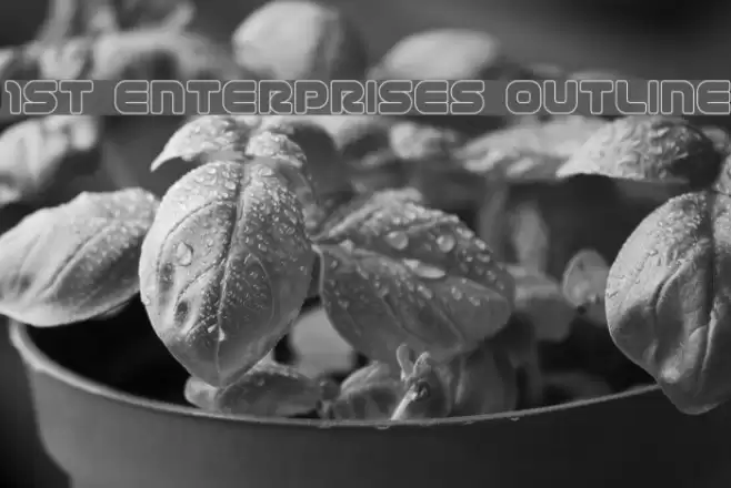 1st Enterprises Outline Polices examples