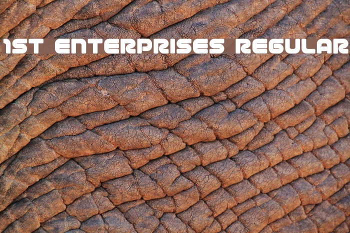 1st Enterprises Regular Font examples