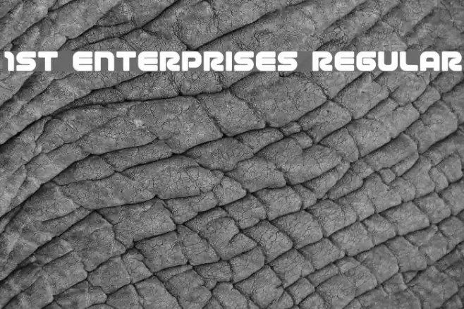 1st Enterprises Regular Font examples