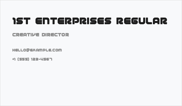 1st Enterprises Regular Business Card