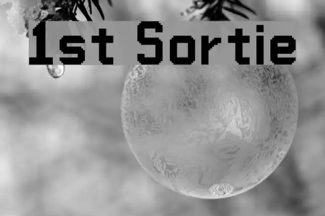 1st Sortie Font examples