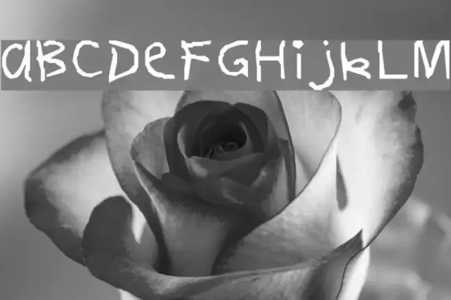 1stGrade Font examples