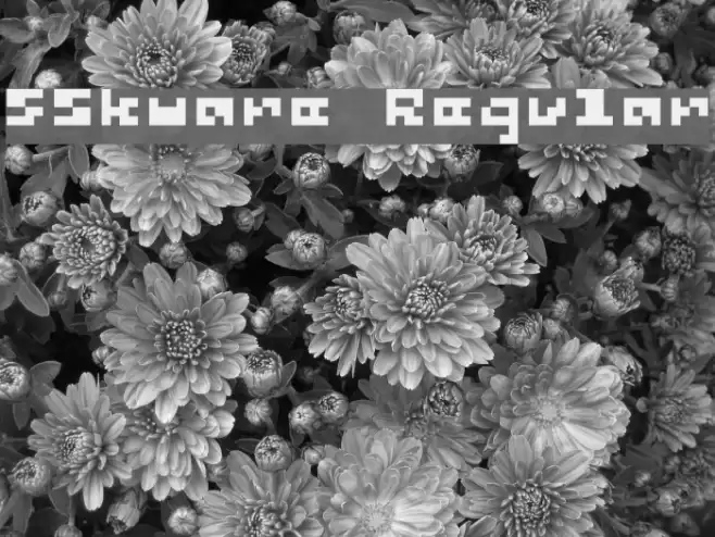 5Skware Regular Font examples