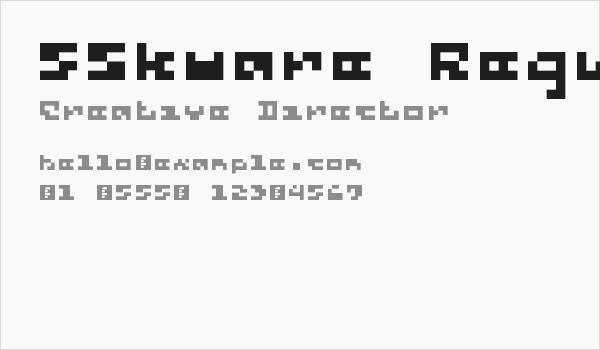 5Skware Regular Business Card