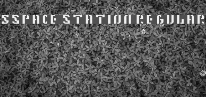 5Space Station Regular Font examples