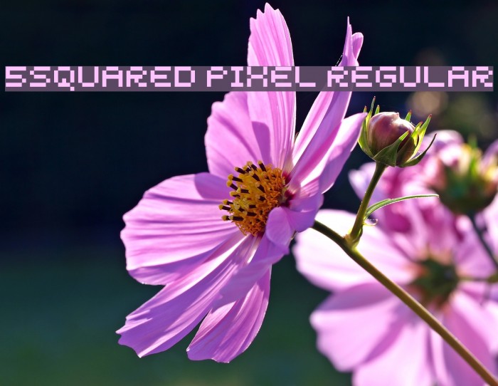 5squared pixel Regular Schriftart examples