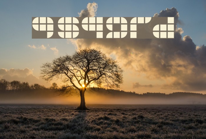 9sqgrd Font examples