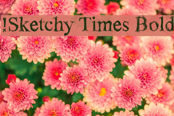 !Sketchy Times Bold Font examples