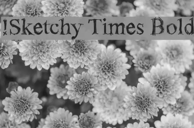 !Sketchy Times Bold フォント examples