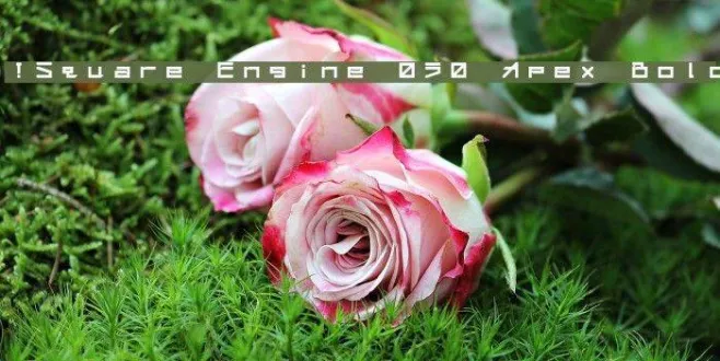 !Square Engine 050 Apex Bold Example 2