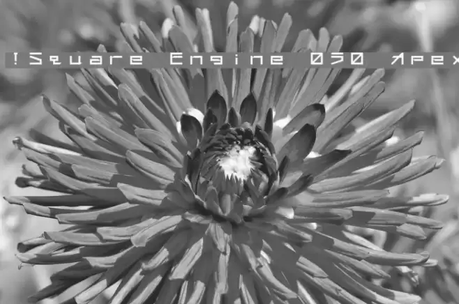!Square Engine 050 Apex फ़ॉन्ट examples