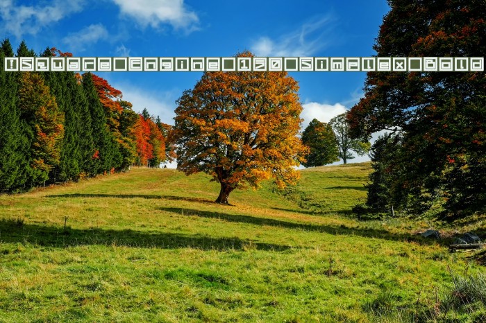 !Square Engine 150 Simplex Bold Font examples