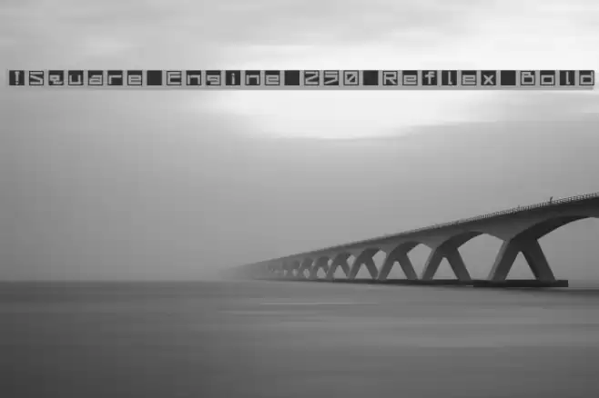 !Square Engine 250 Reflex Bold Font examples