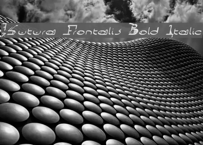 !Sutura Frontalis Bold Italic Fuentes examples