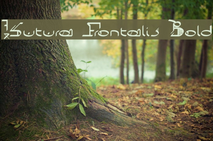 !Sutura Frontalis Bold Font examples