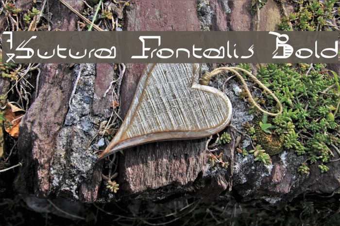 !Sutura Frontalis Bold Font examples
