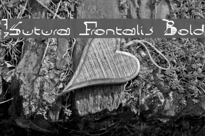 !Sutura Frontalis Bold Caratteri examples