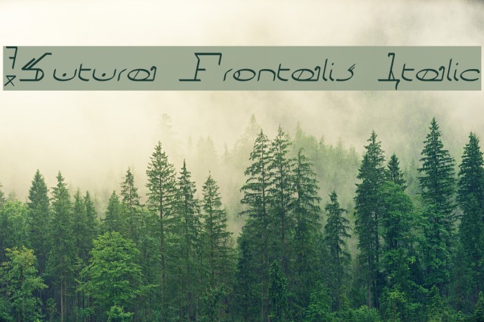 !Sutura Frontalis Italic フォント examples