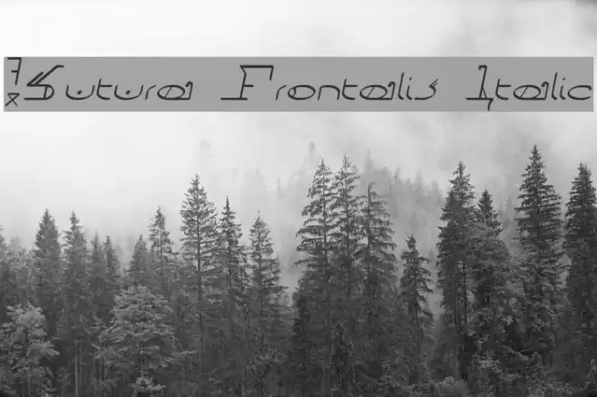 !Sutura Frontalis Italic Font examples
