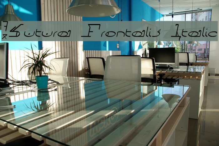 !Sutura Frontalis Italic フォント examples