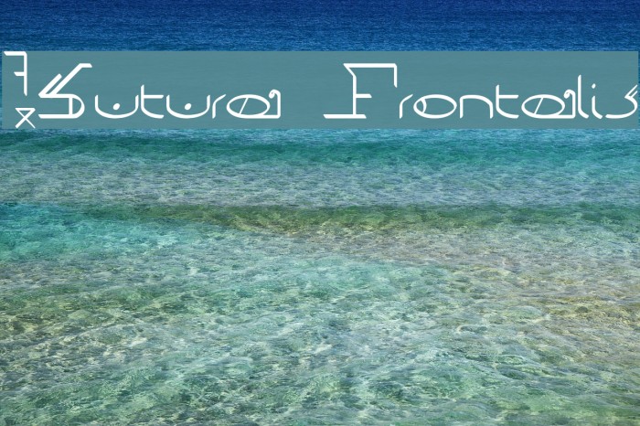 !Sutura Frontalis Caratteri examples