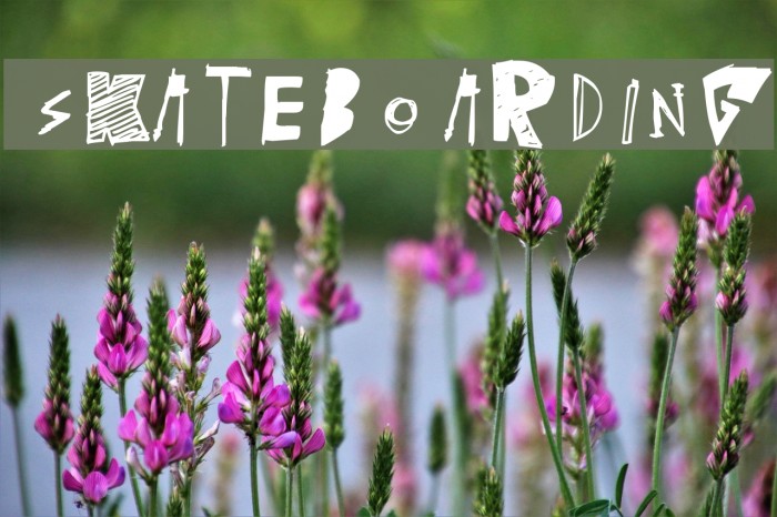 [skateboarding] Example 1