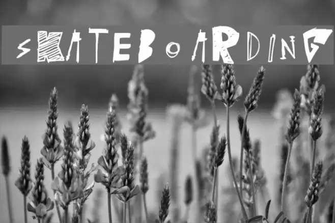 [skateboarding] Font examples