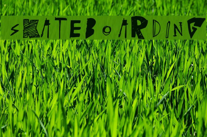 [skateboarding] Example 3