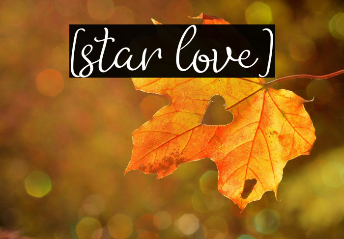 [star love] Example 1