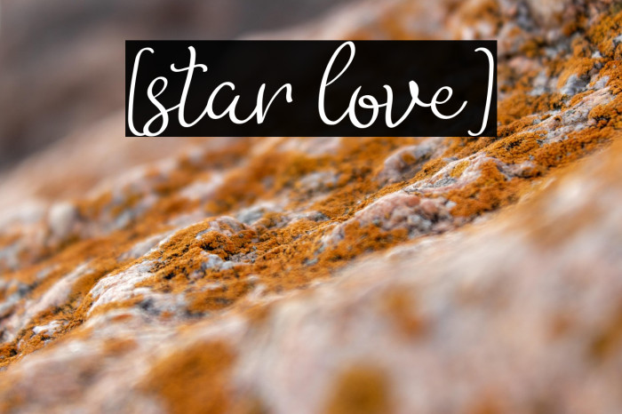 [star love] Example 3
