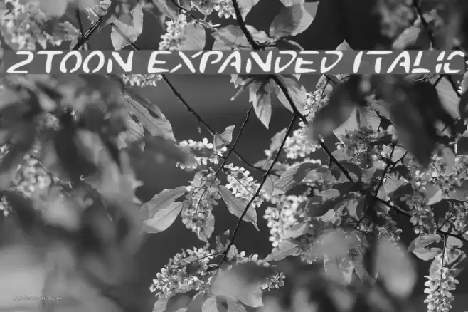 2Toon Expanded Italic Fuentes examples