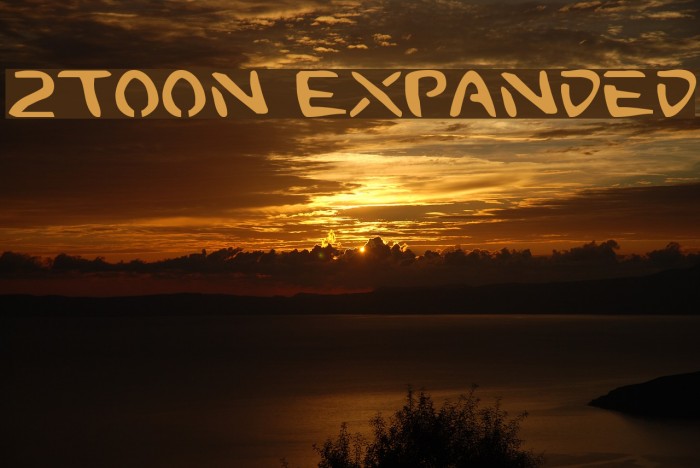 2Toon Expanded Font examples
