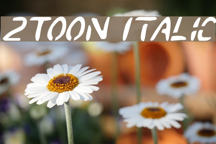 2Toon Italic Font examples