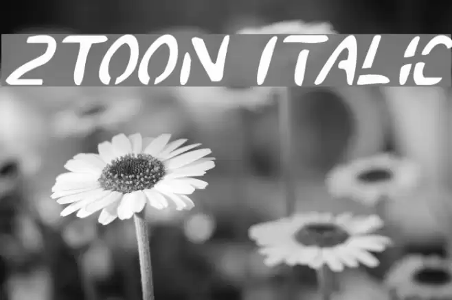 2Toon Italic Polices examples