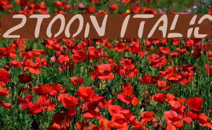 2Toon Italic Font examples