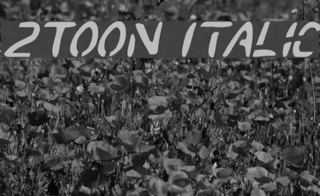 2Toon Italic Polices examples