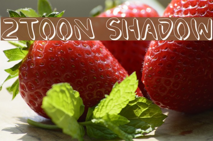 2Toon Shadow Font examples