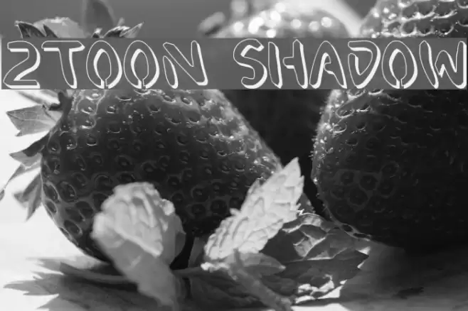 2Toon Shadow フォント examples