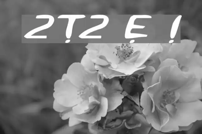 2Toon2 Expanded Italic フォント examples