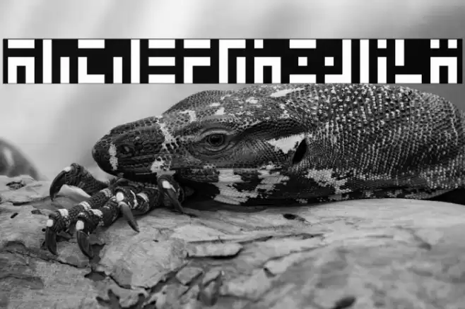 3t3-5x3 Font examples