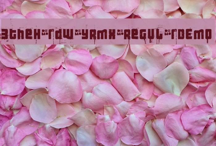 3theHardwayRMX-RegularDEMO Font examples